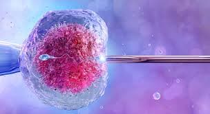 IVF Lab Training