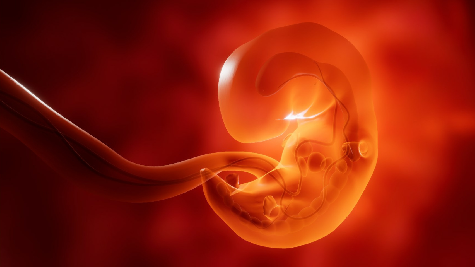 Clinical Embryology